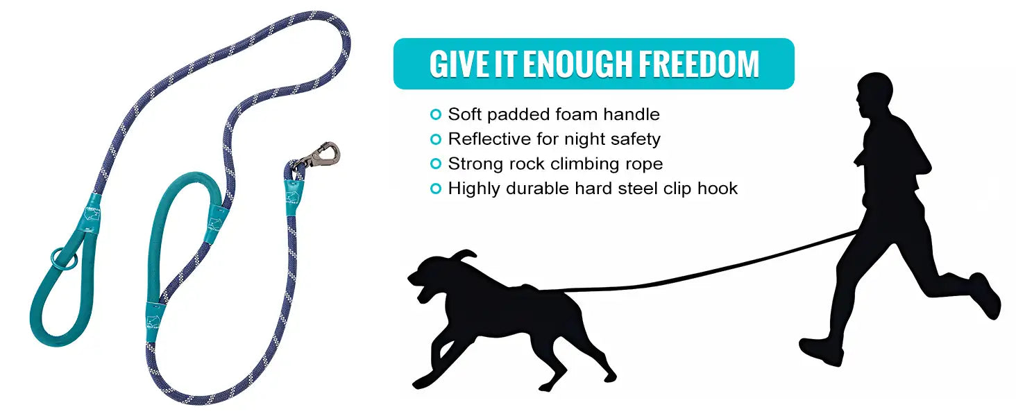 Why Choosing a High-Quality Dog Leash Matters for You and Your Pet