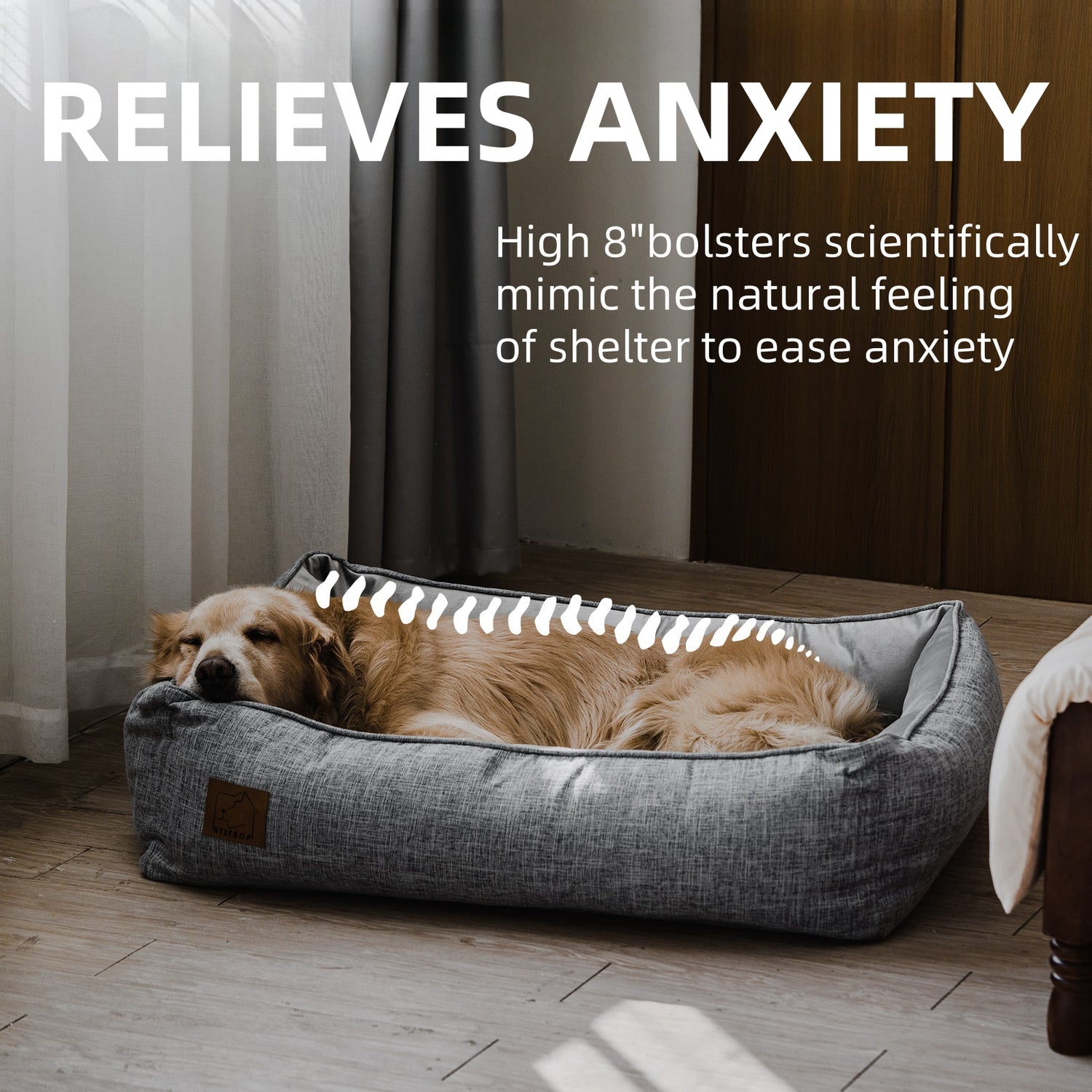 How a Good Pet Bed Can Improve Your Dog’s Quality of Life