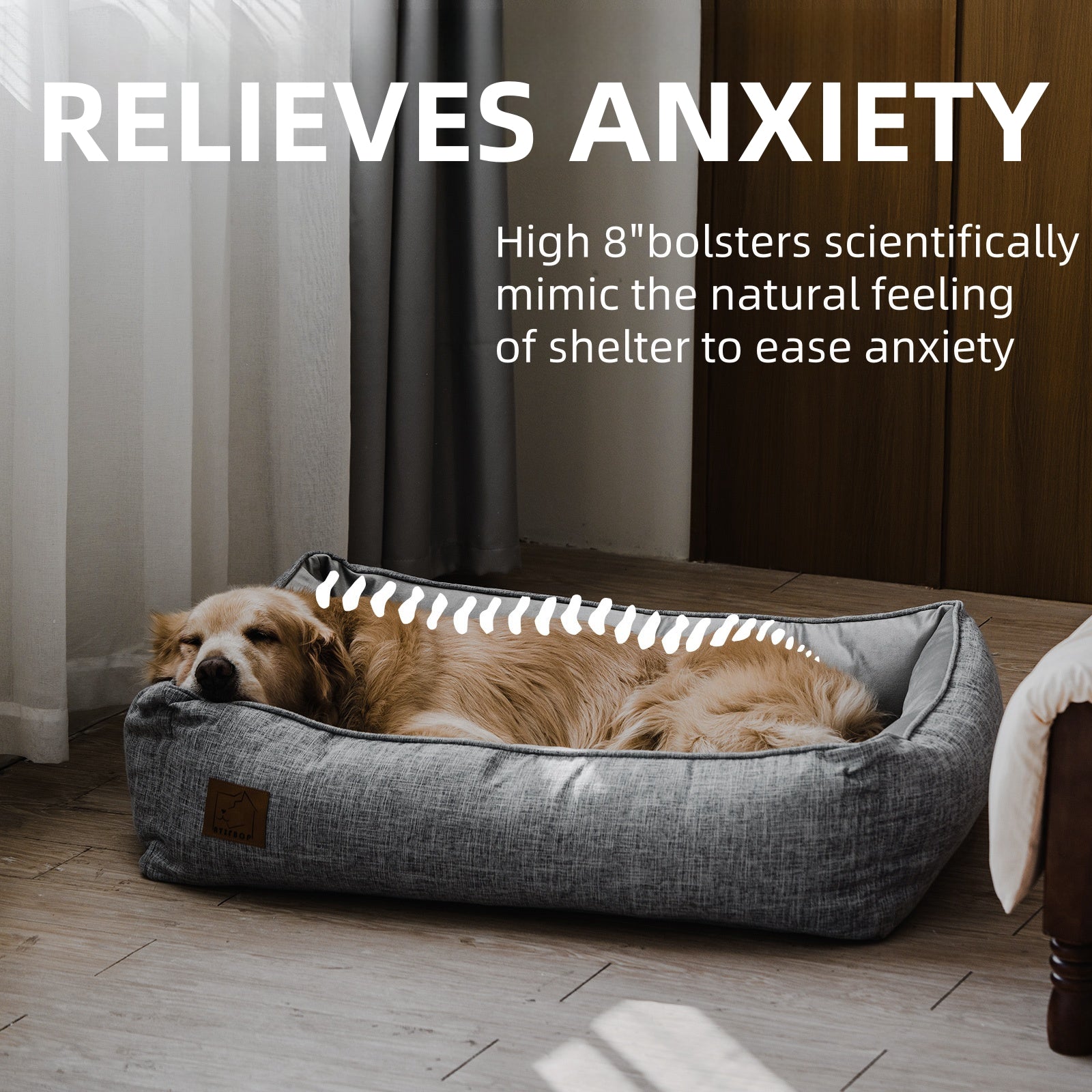 How a Good Pet Bed Can Improve Your Dog’s Quality of Life