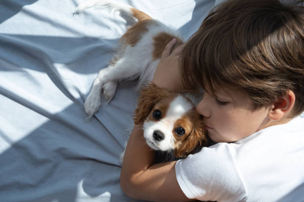Why Quality Sleep is Essential for Your Dog