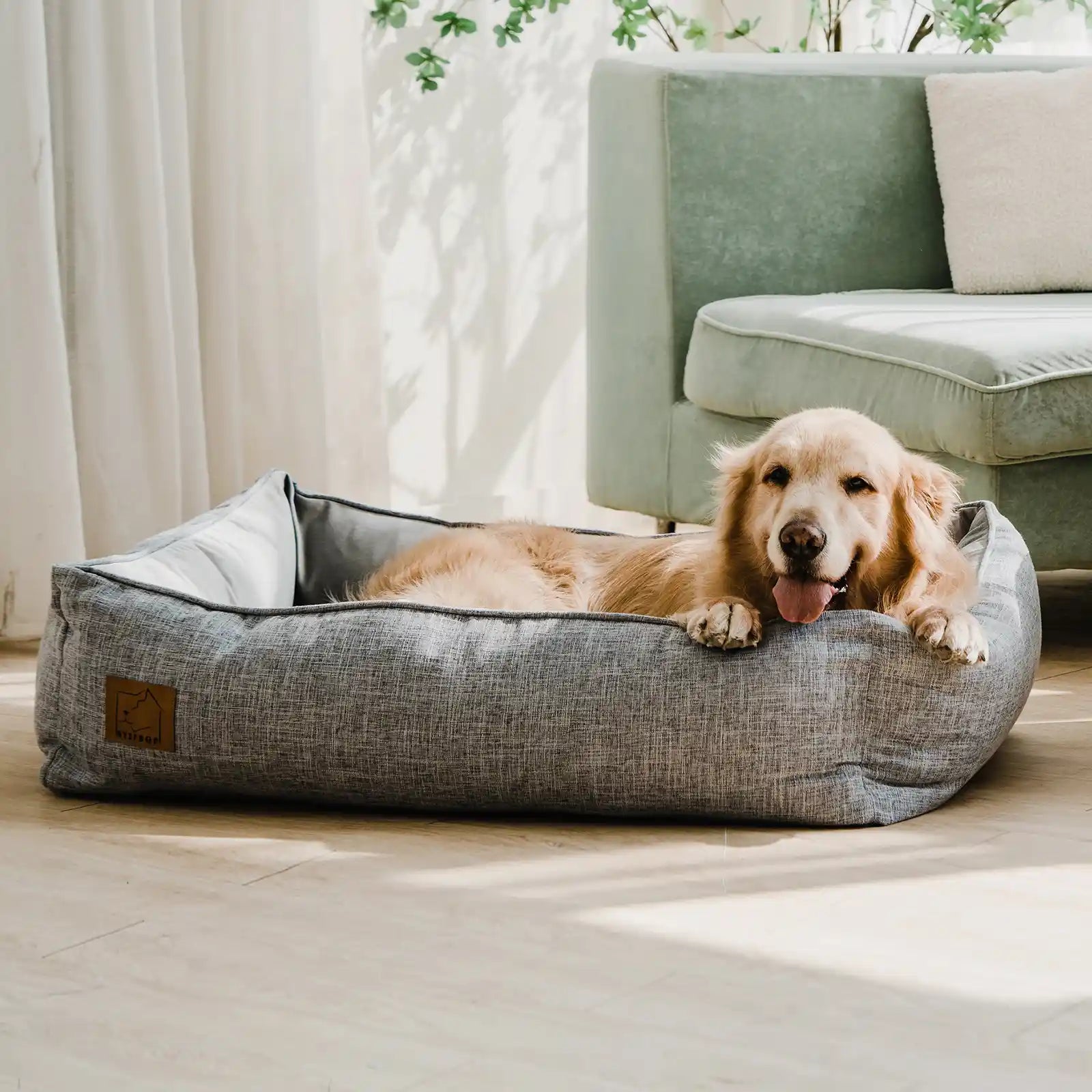 Why Quality Matters: A Comparison Between ATIFBOP and Toby and Ace Dog Beds