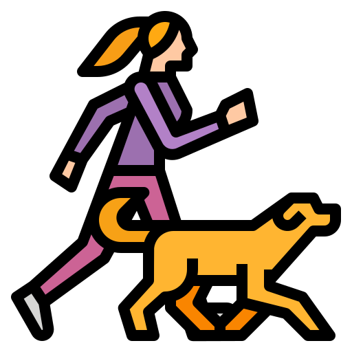 The Impact of Comfortable Dog Beds on Training Success