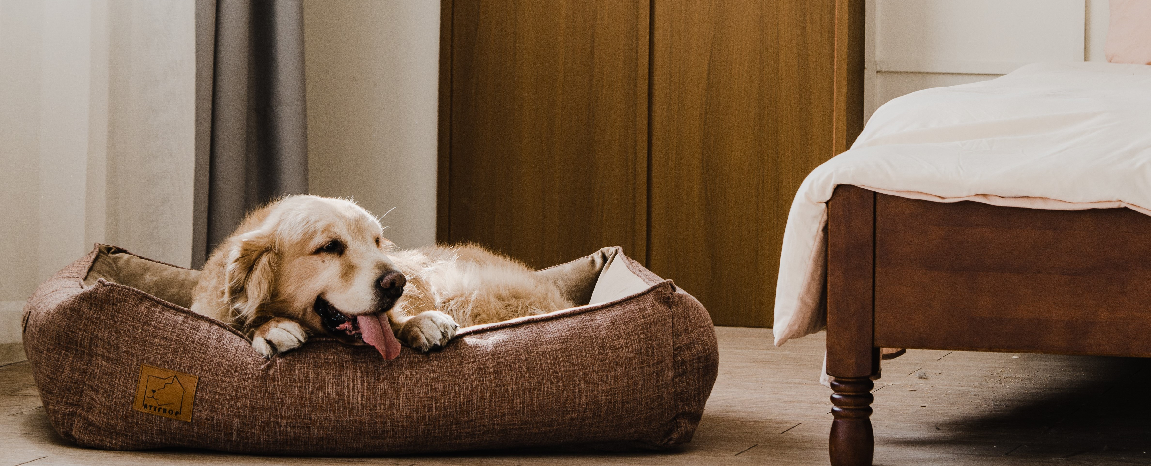 Top-tier quality Pet Bed