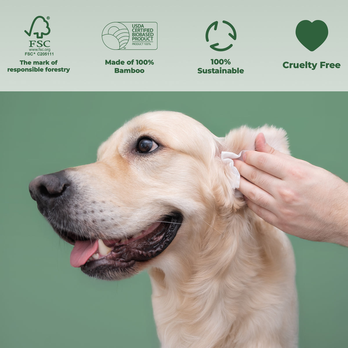 Dog Wipes for Paws and Bum, 400 Wipes  Coconut