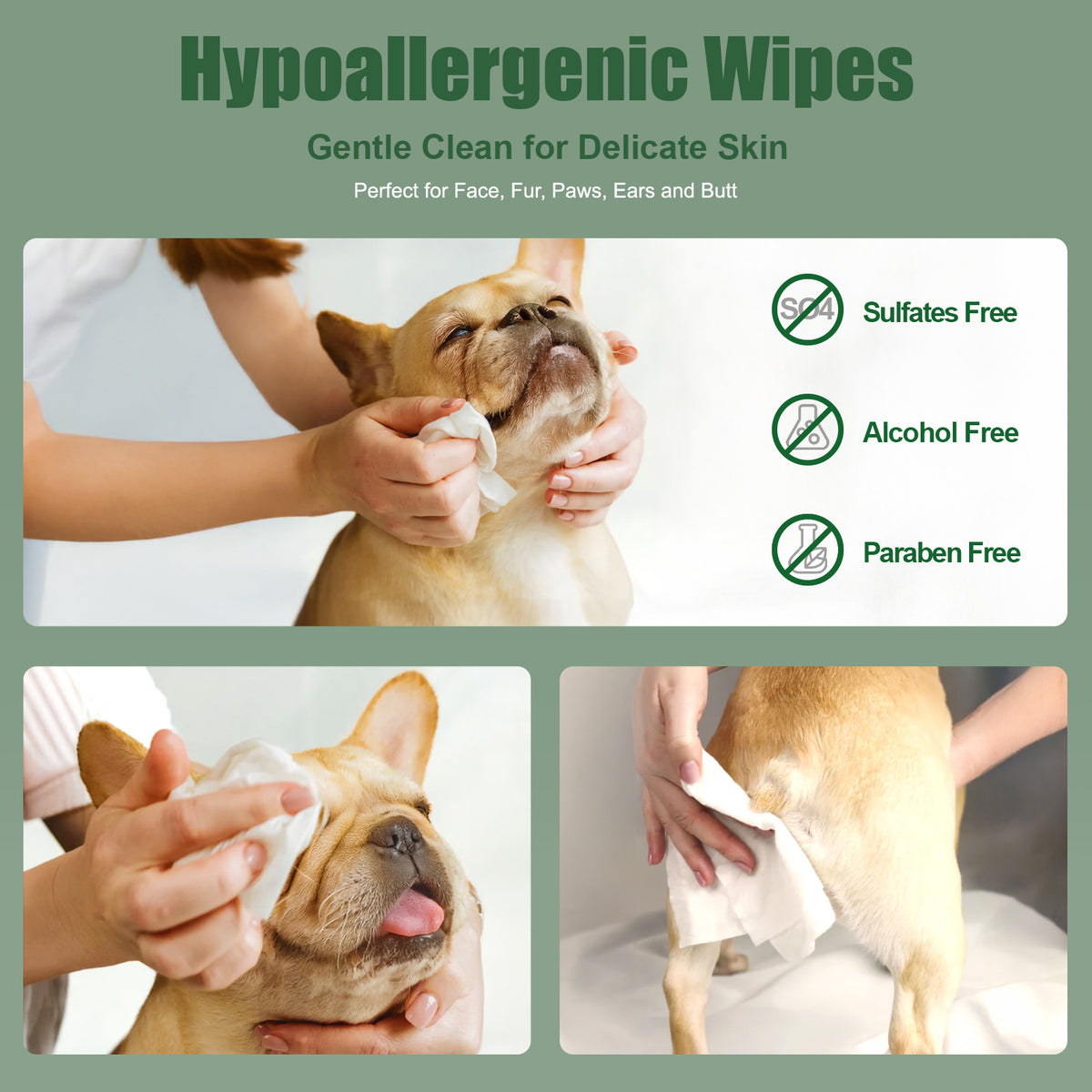 Dog Wipes for Paws and Bum, 400 Wipes  Coconut